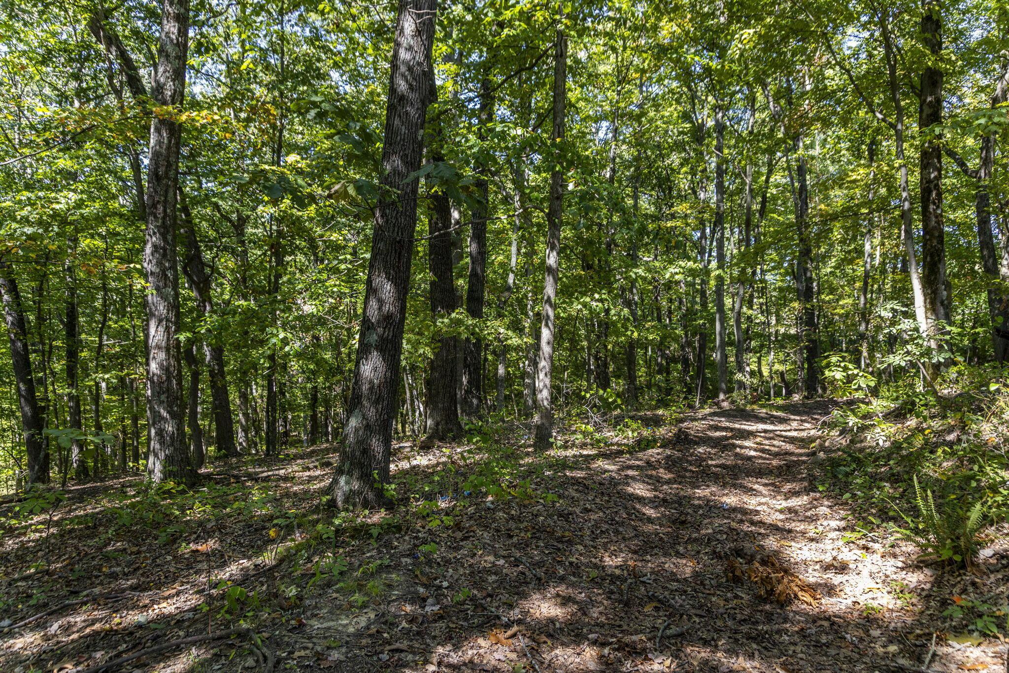 22195 Cliff Road Rockbridge, OH 43149 - Photo 61 of 66 Walking Trails - 22195 Cliff Road, Rockbridge, OH 43149