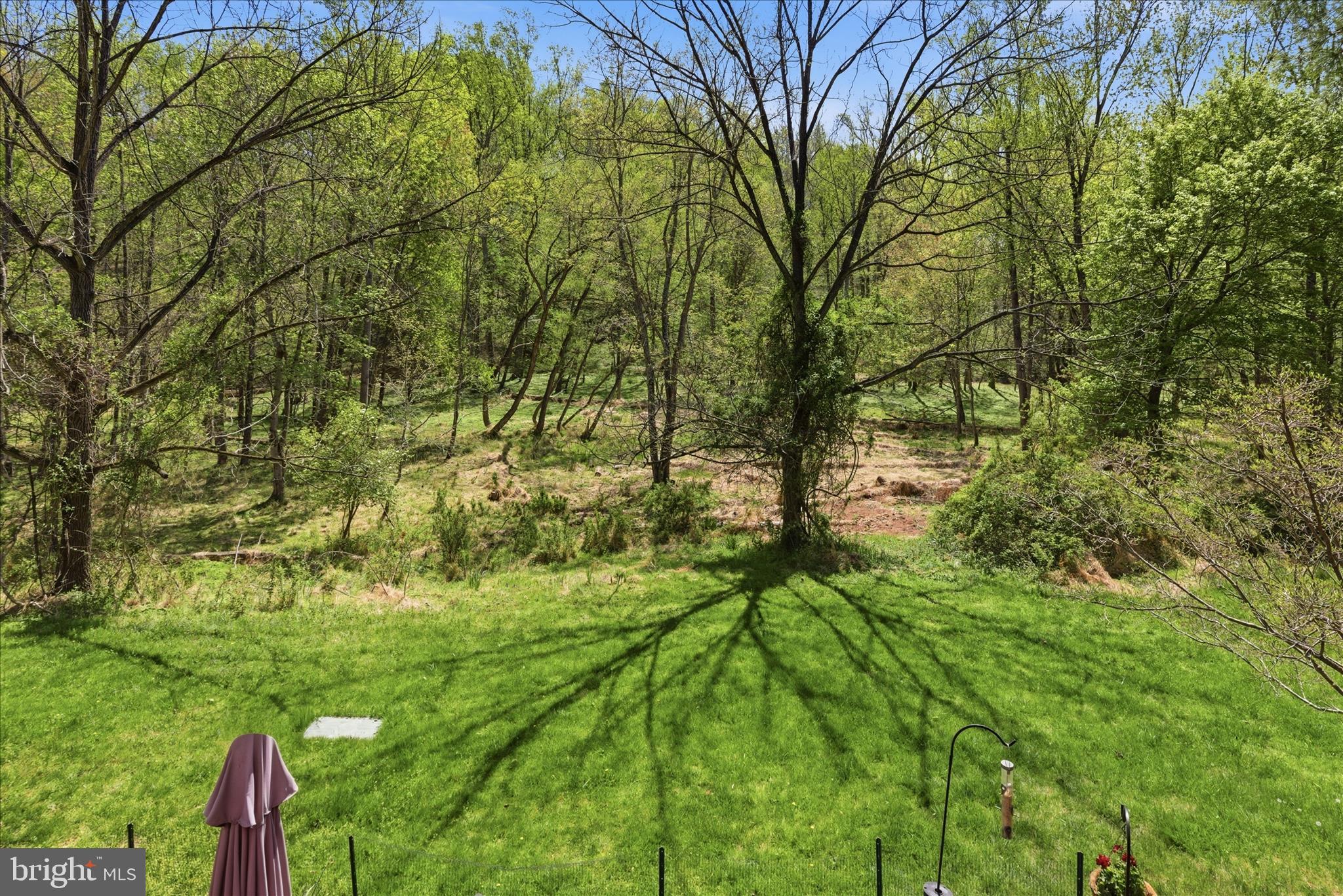 1943 Hickory Hill Lane Silver Spring, MD 20906 - Photo 41 of 54