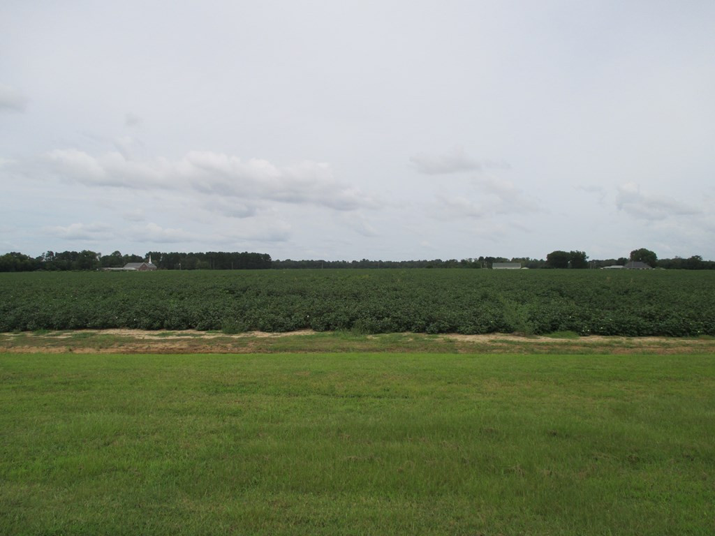 0 Lake Ashwood Road Sumter, SC 29153 - Photo 5 of 10 Gallery Image 5