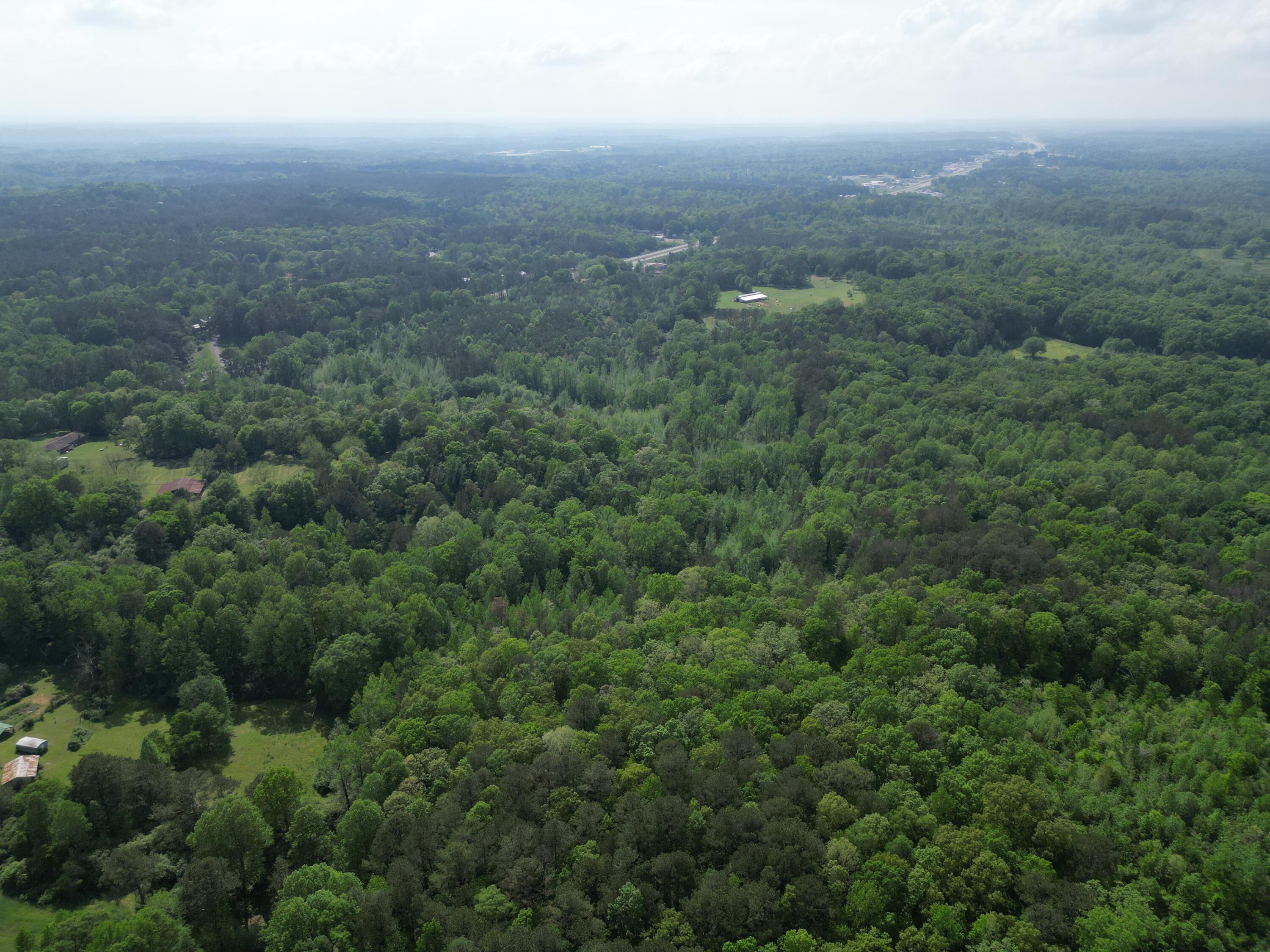 Tucker Road Jasper, AL 35504 - Photo 6 of 10 DJI_0302