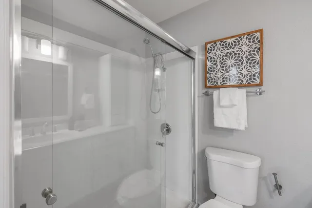 a bathroom with a shower and toilet