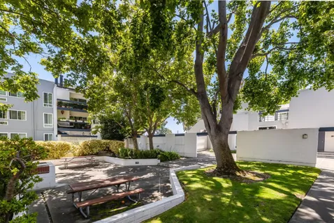 a view of a yard with plants and trees