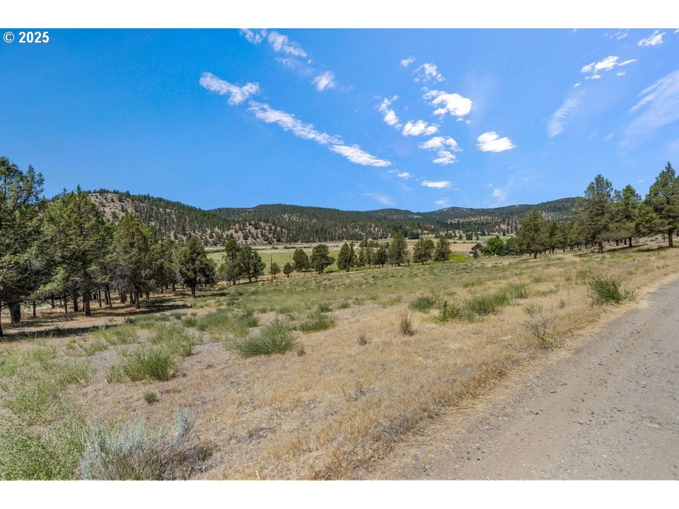 4800 Mill Creek Road Prineville, OR 97754 - Photo 29 of 40 a view of a yard with a mountain