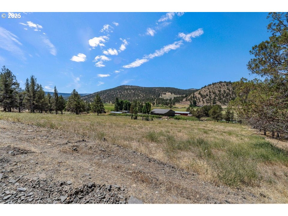 4800 Mill Creek Road Prineville, OR 97754 - Photo 38 of 40 a view of a yard with a tree