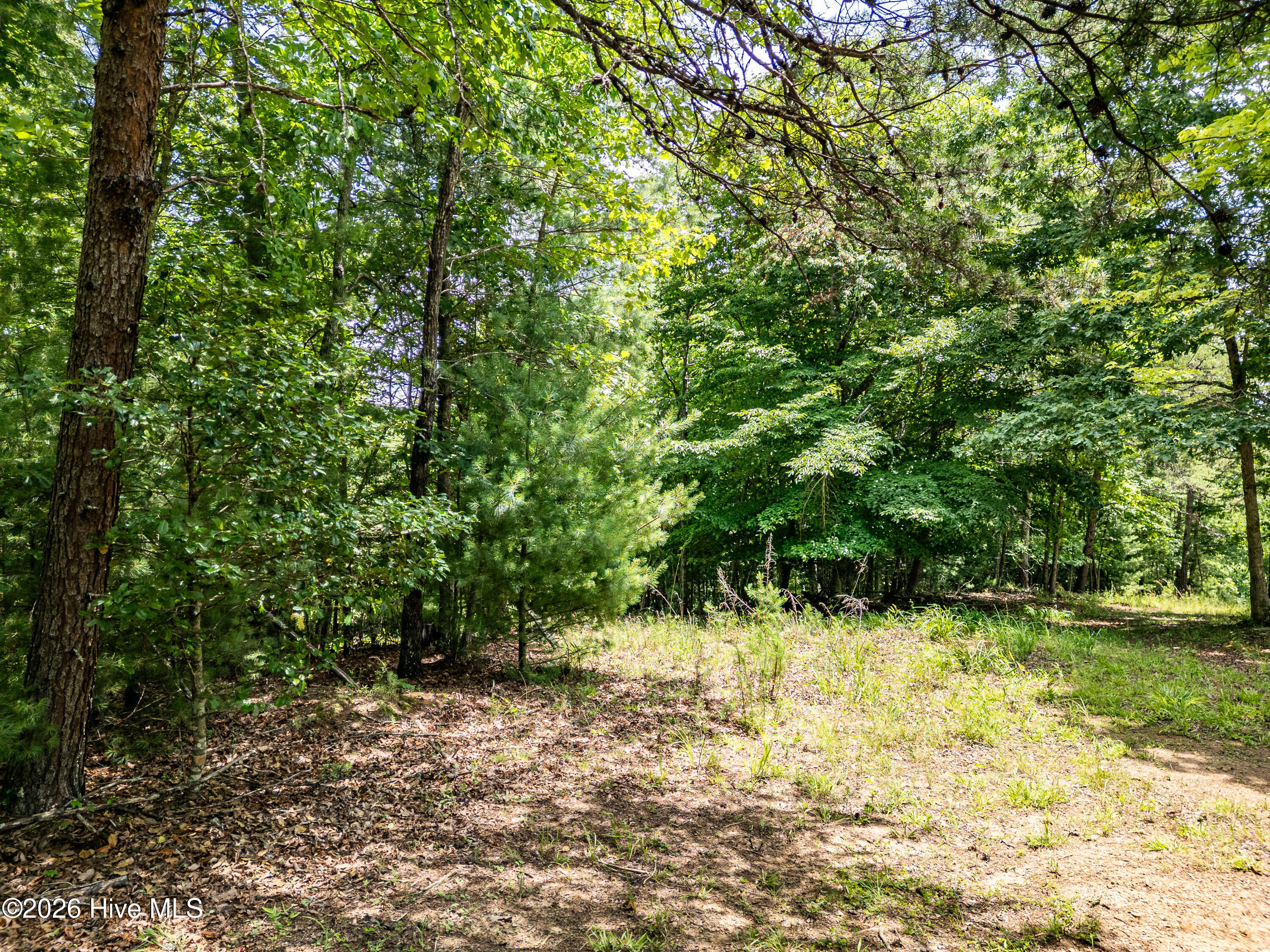 2 Stormy Ridge Brasstown, NC 28902 - Photo 5 of 17 Gallery Image 5