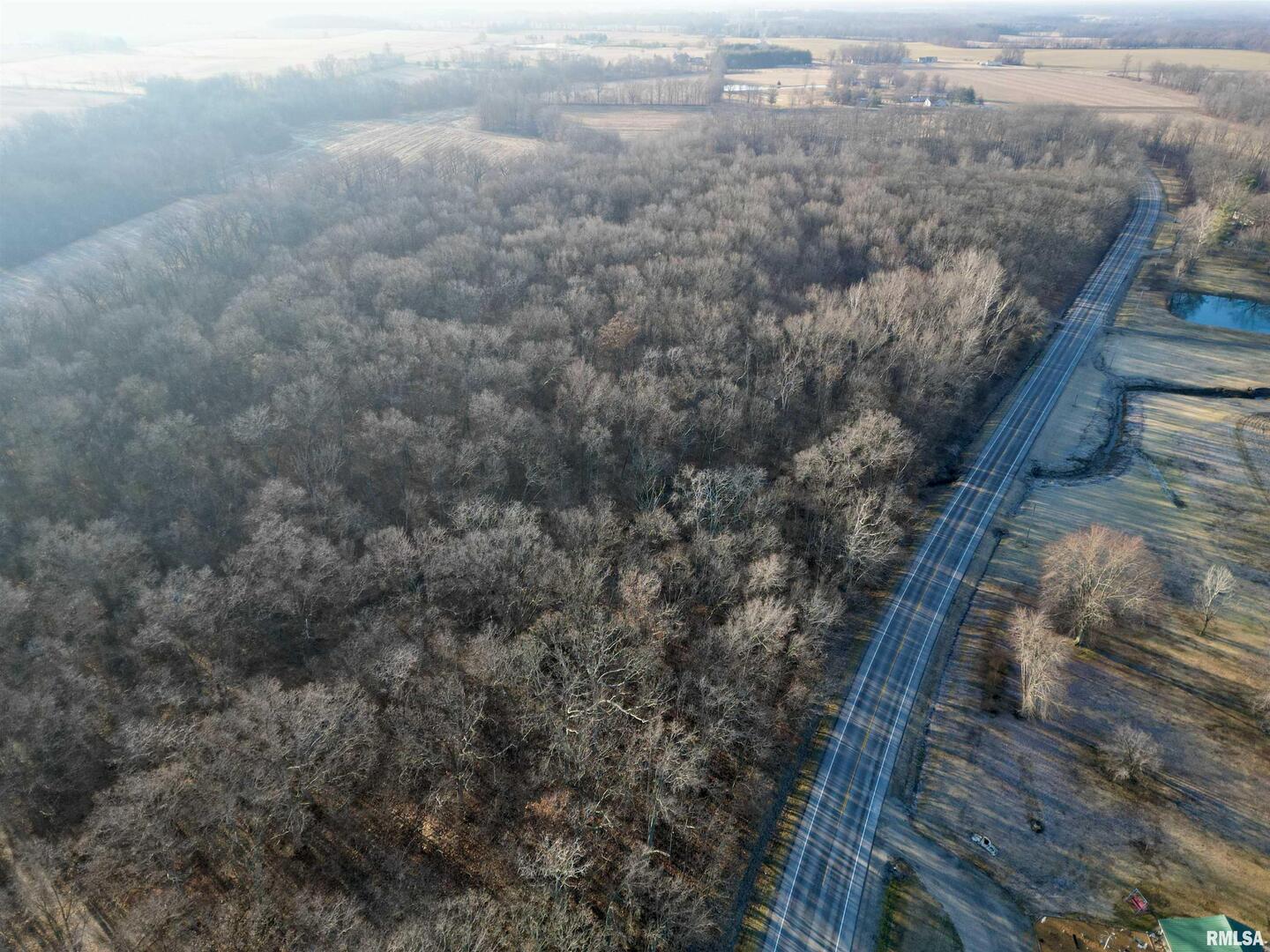 0 State Route 37 Kell, IL 62853 - Photo 1 of 9 a view of a forest from balcony
