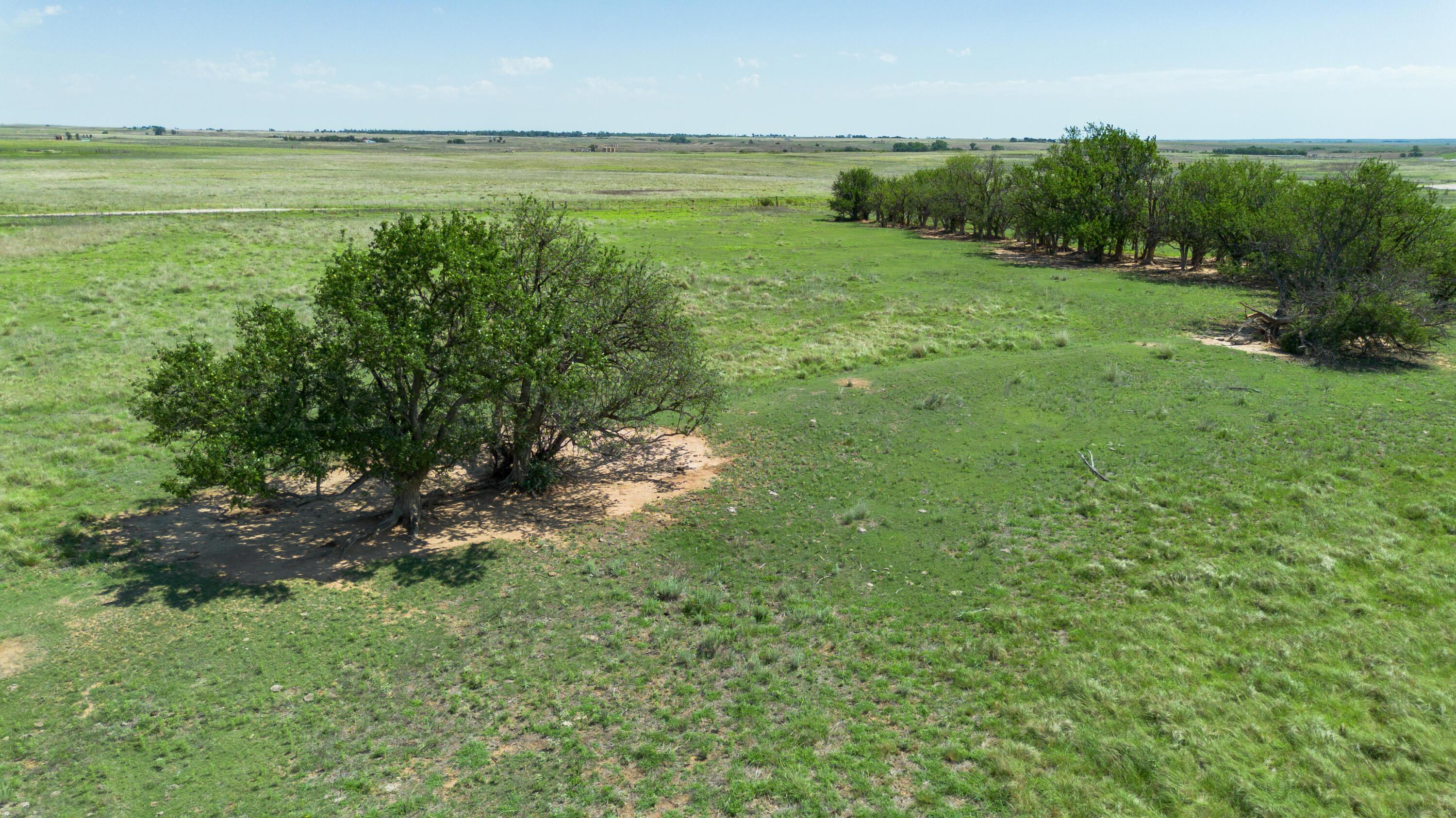 Dodd Grass 480ac County Line Road Briscoe, TX 79011 - Photo 31 of 37 031