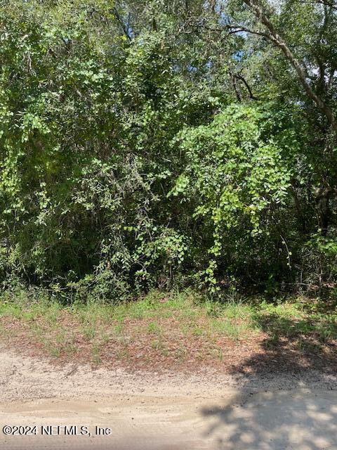 7043 Gatorbone Road Keystone Heights, FL 32656 - Photo 2 of 4 a view of a yard with plants and tree