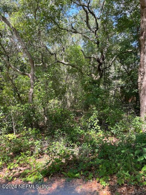 7043 Gatorbone Road Keystone Heights, FL 32656 - Photo 3 of 4 a view of a yard with plants and large trees