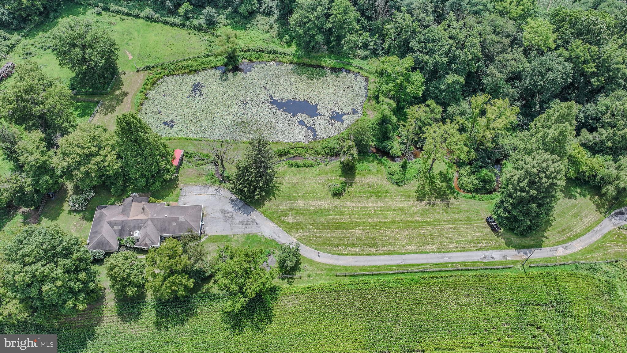 Aerial 1