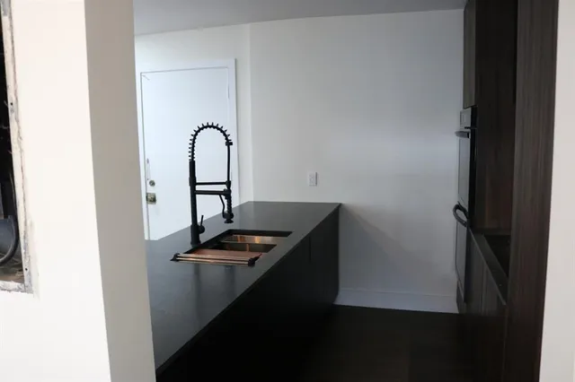 a close view of a sink and a potted plant on a counter top
