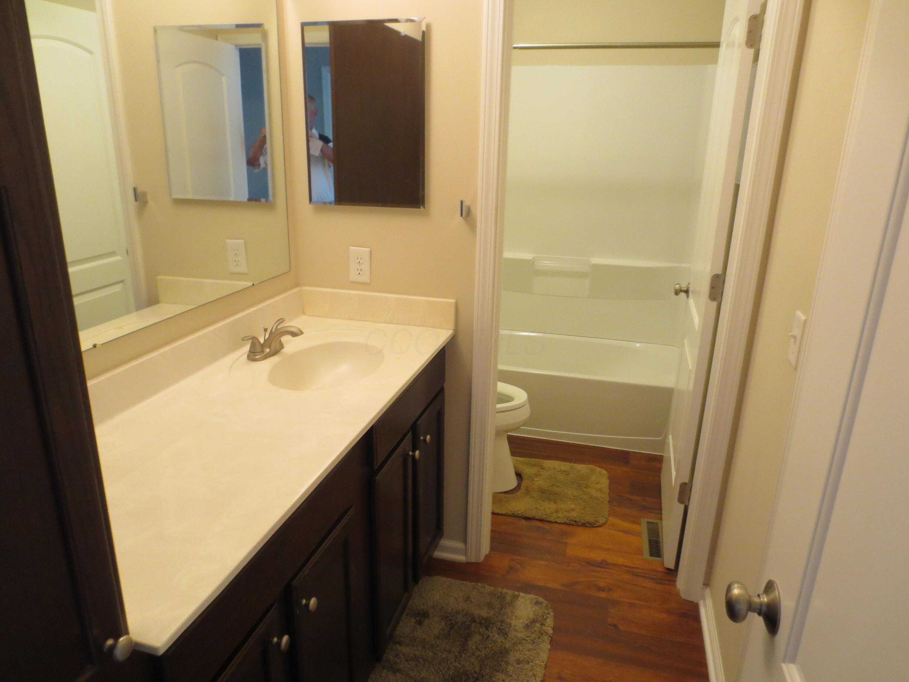 101 Merriston Circle Delaware, OH 43015 - Photo 20 of 34 Hall bathroom with tub.