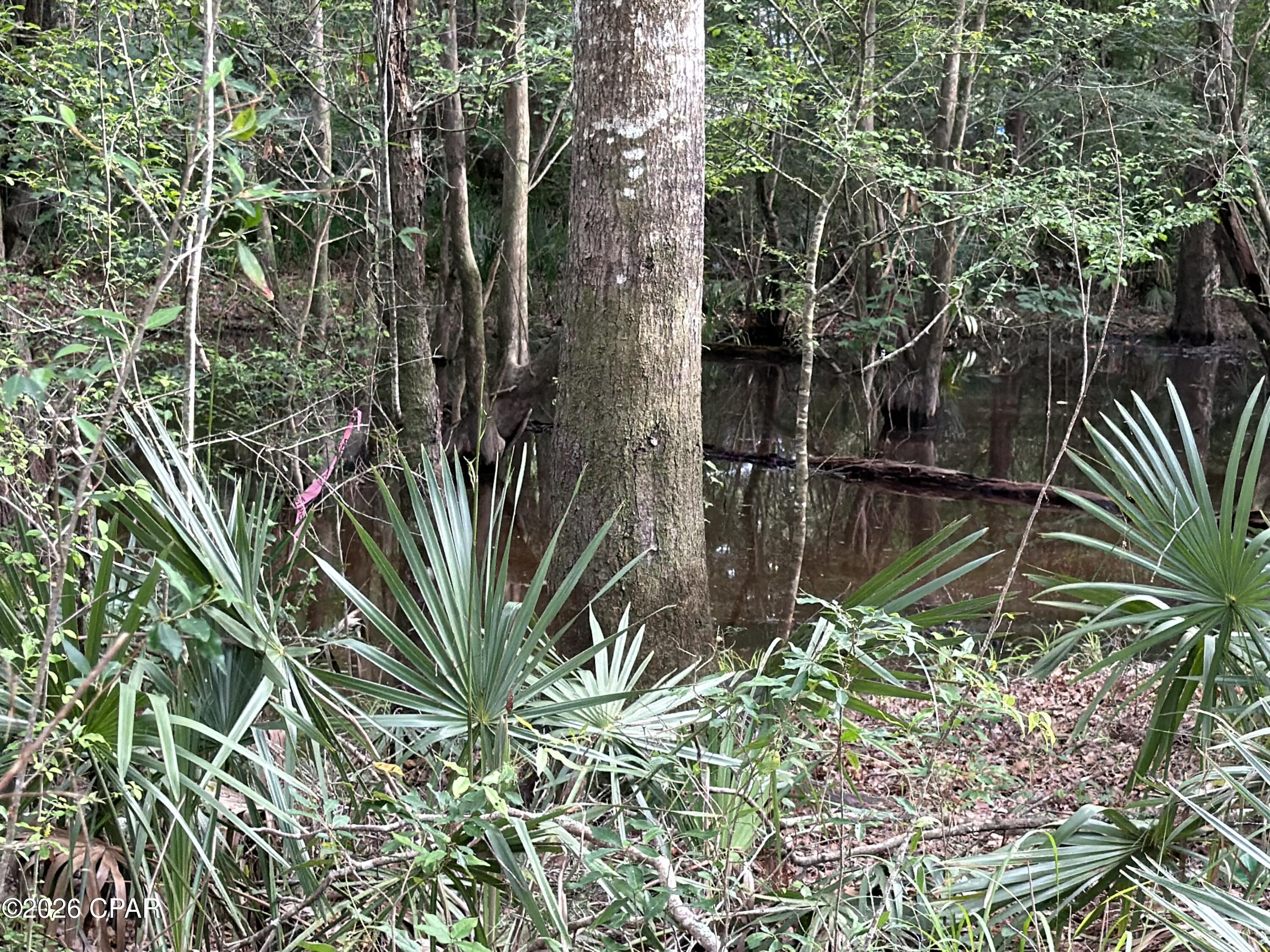 0 Big Cedar Road Ponce de Leon, FL 32455 - Photo 3 of 9 Gallery Image 3