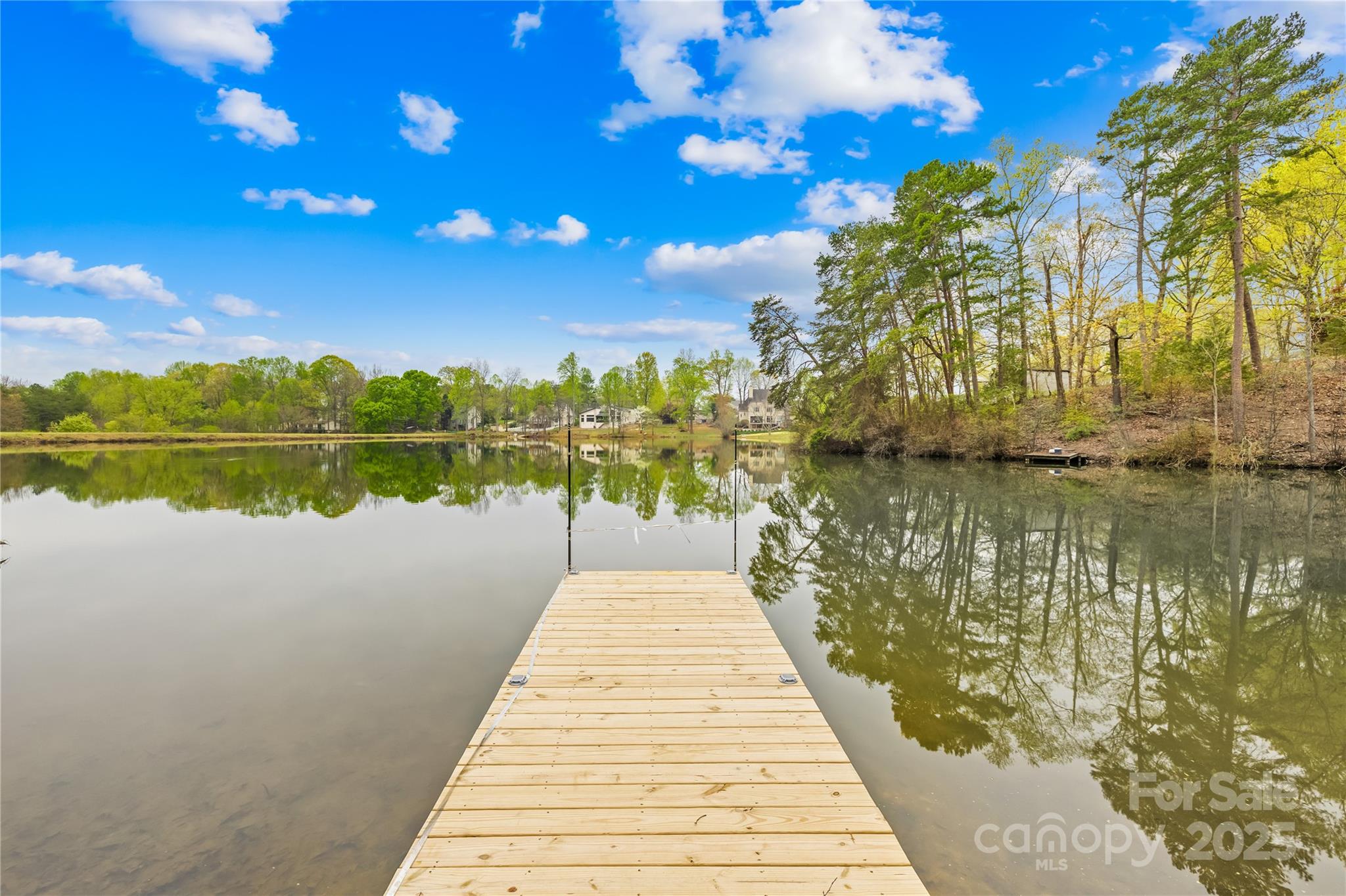 158 Regency Road Mooresville, NC 28117 - Photo 4 of 48 Gallery Image 4
