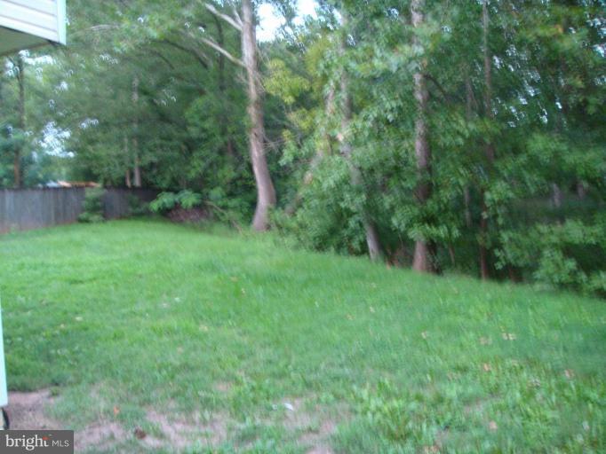 7405 Bull Run Road Manassas, VA 20111 - Photo 16 of 16 Back yard