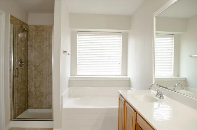 a bathroom with a granite countertop sink a shower and a mirror