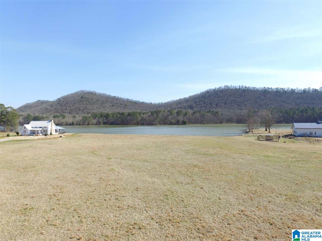 Greensport Road, Unit 2 53 Oneonta, AL 35121 - Photo 7 of 20