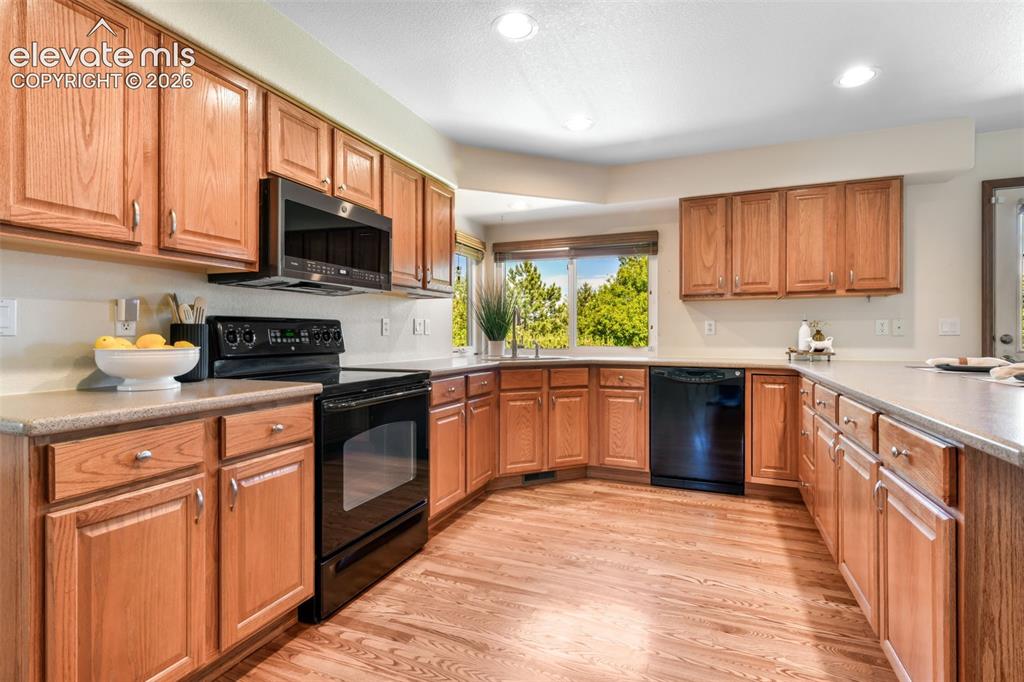 517 Talus Road Monument, CO 80132 - Photo 8 of 50