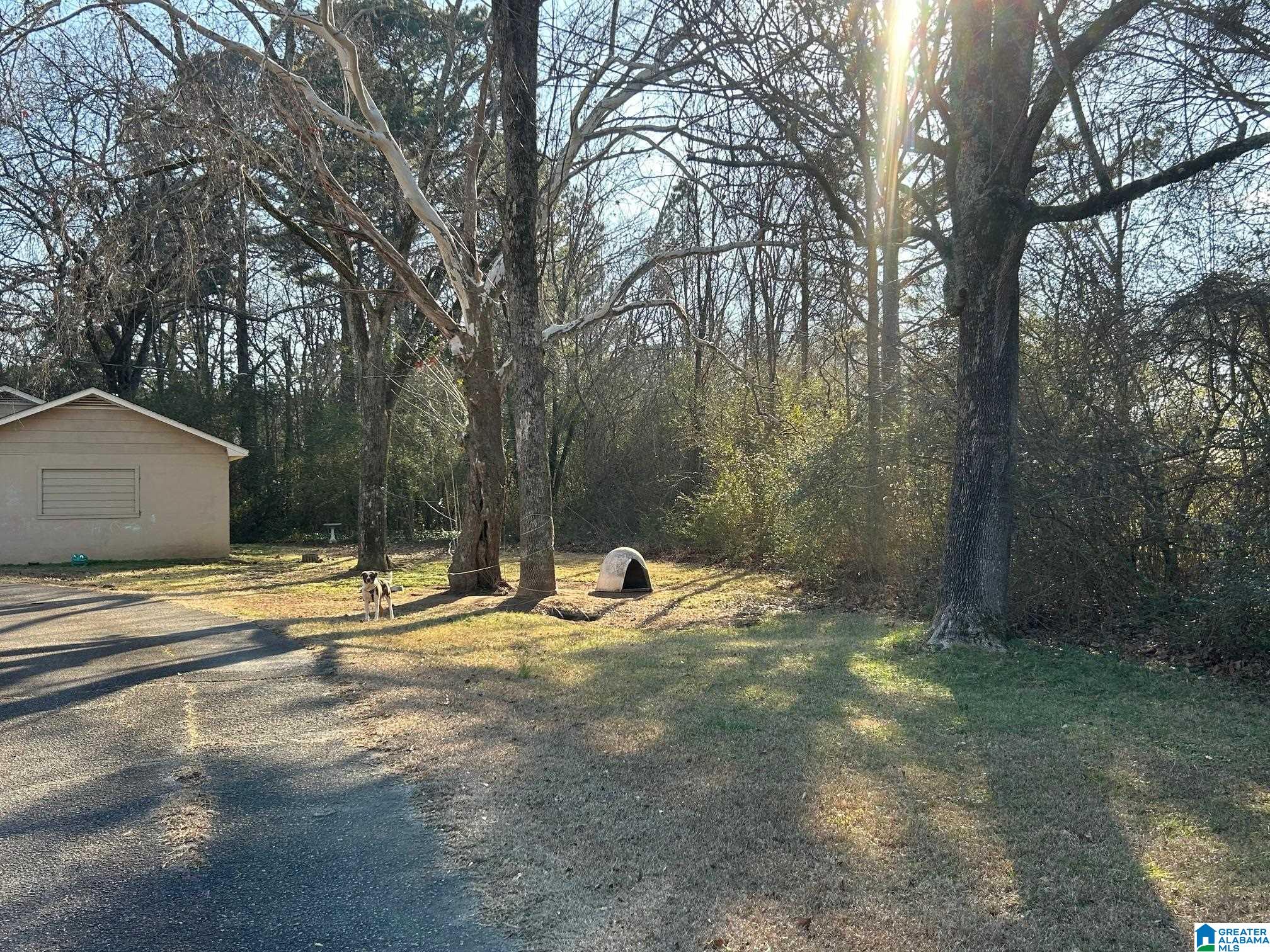 309 Whites Gap Road Southeast Jacksonville, AL 36265 - Photo 12 of 13