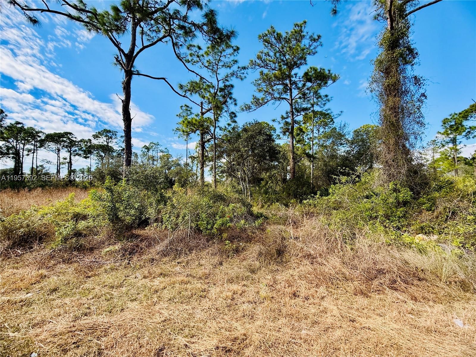 2007 Truman Avenue Alva, FL 33920 - Photo 1 of 6