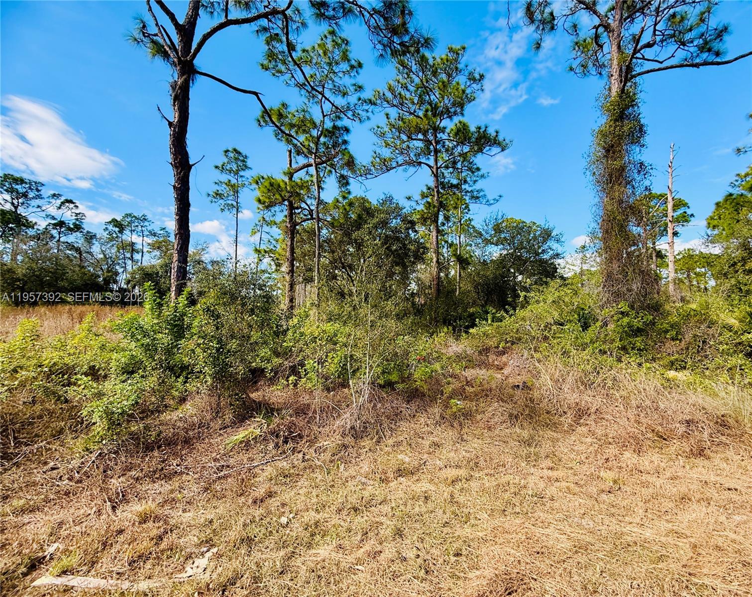 2007 Truman Avenue Alva, FL 33920 - Photo 2 of 6