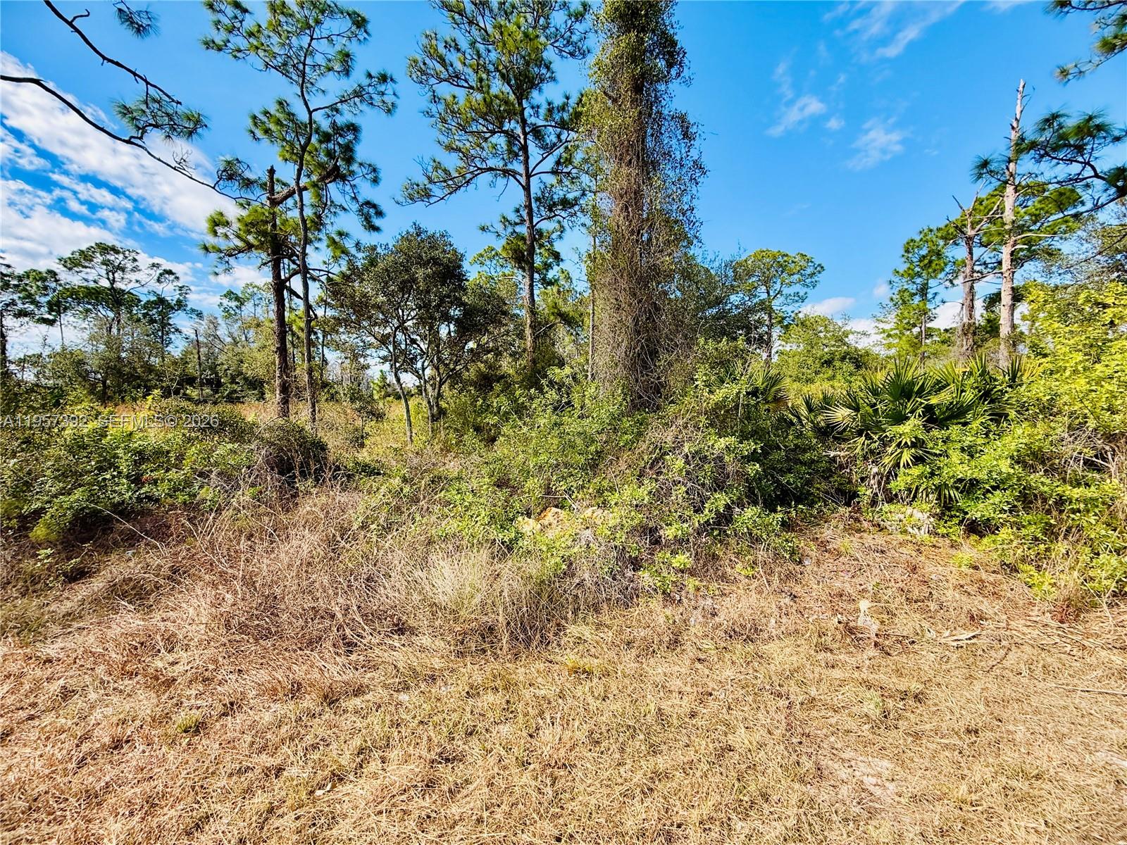 2007 Truman Avenue Alva, FL 33920 - Photo 3 of 6