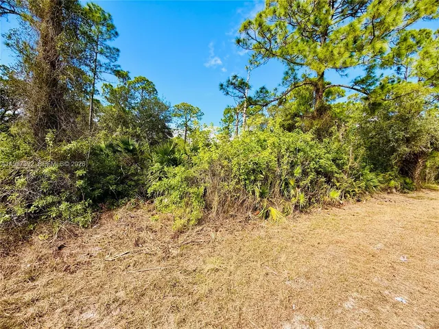 $35,000 | 2007 Truman Avenue, Alva, FL 33920