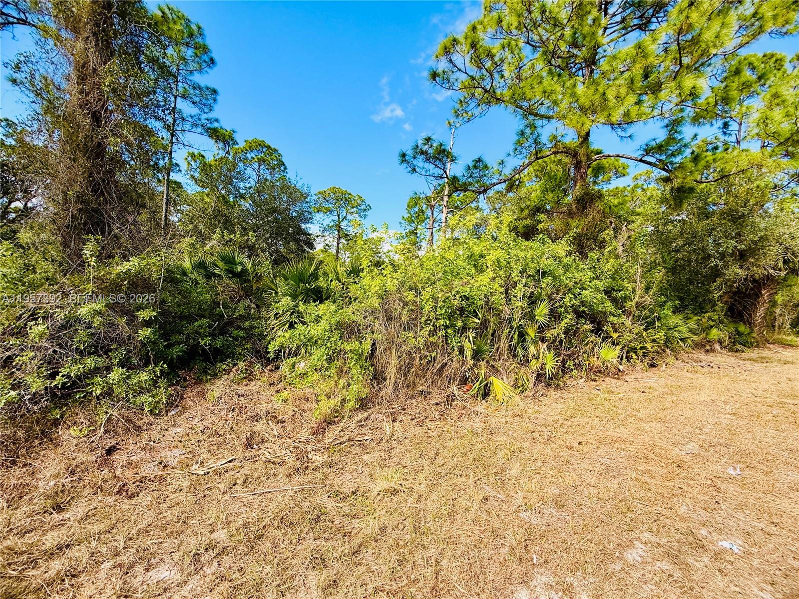 2007 Truman Avenue Alva, FL 33920 - Photo 5 of 6