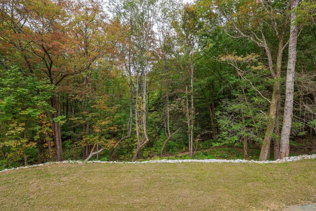 63 King Road Charlton, MA 01507 - Photo 11 of 40 a view of swimming pool and trees in the background