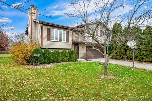 a view of a backyard with plants and large tree