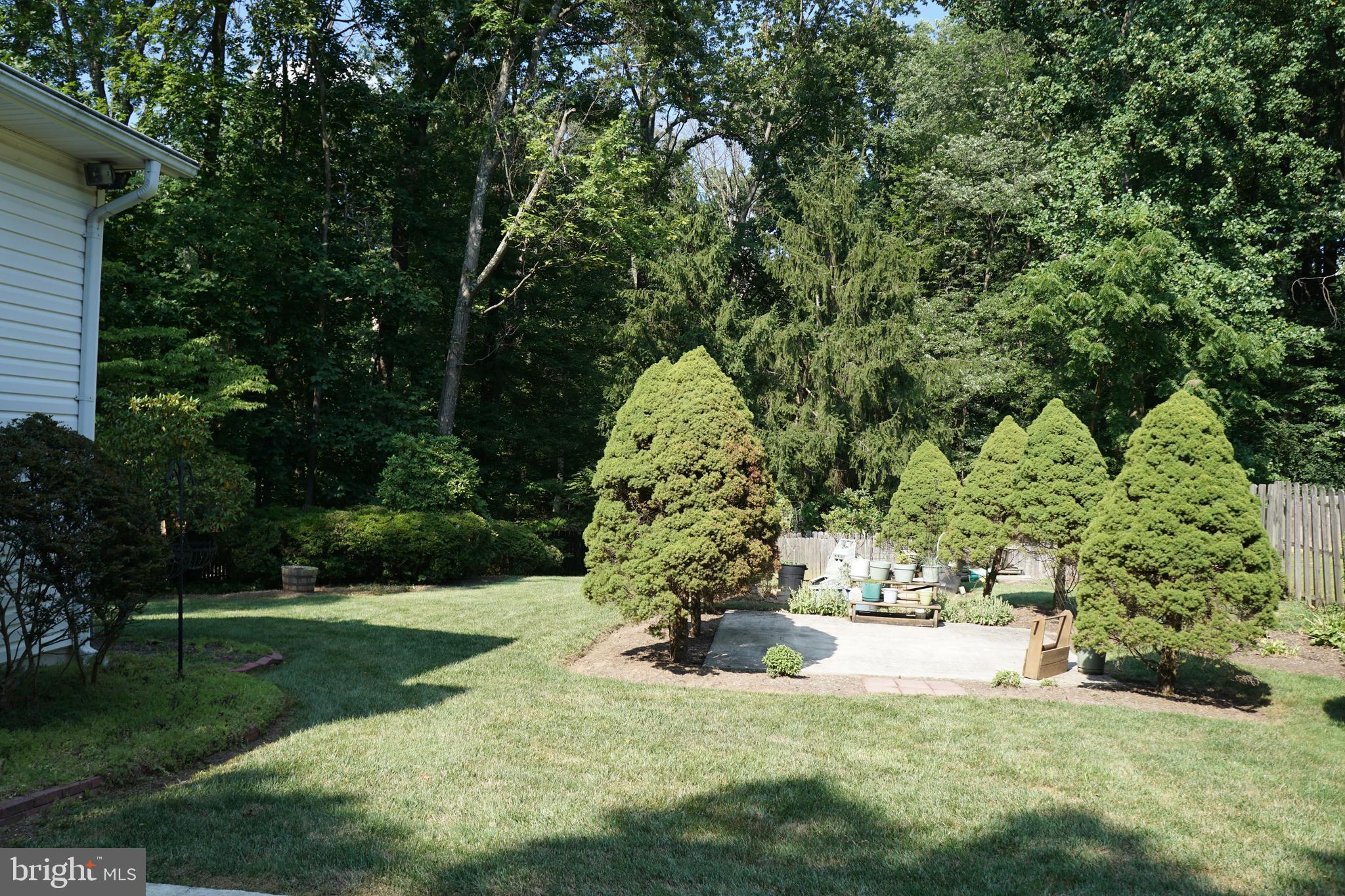 16617 Cashell Road Rockville, MD 20853 - Photo 23 of 28 View of Patio and Rear Treed Landscaped Yard