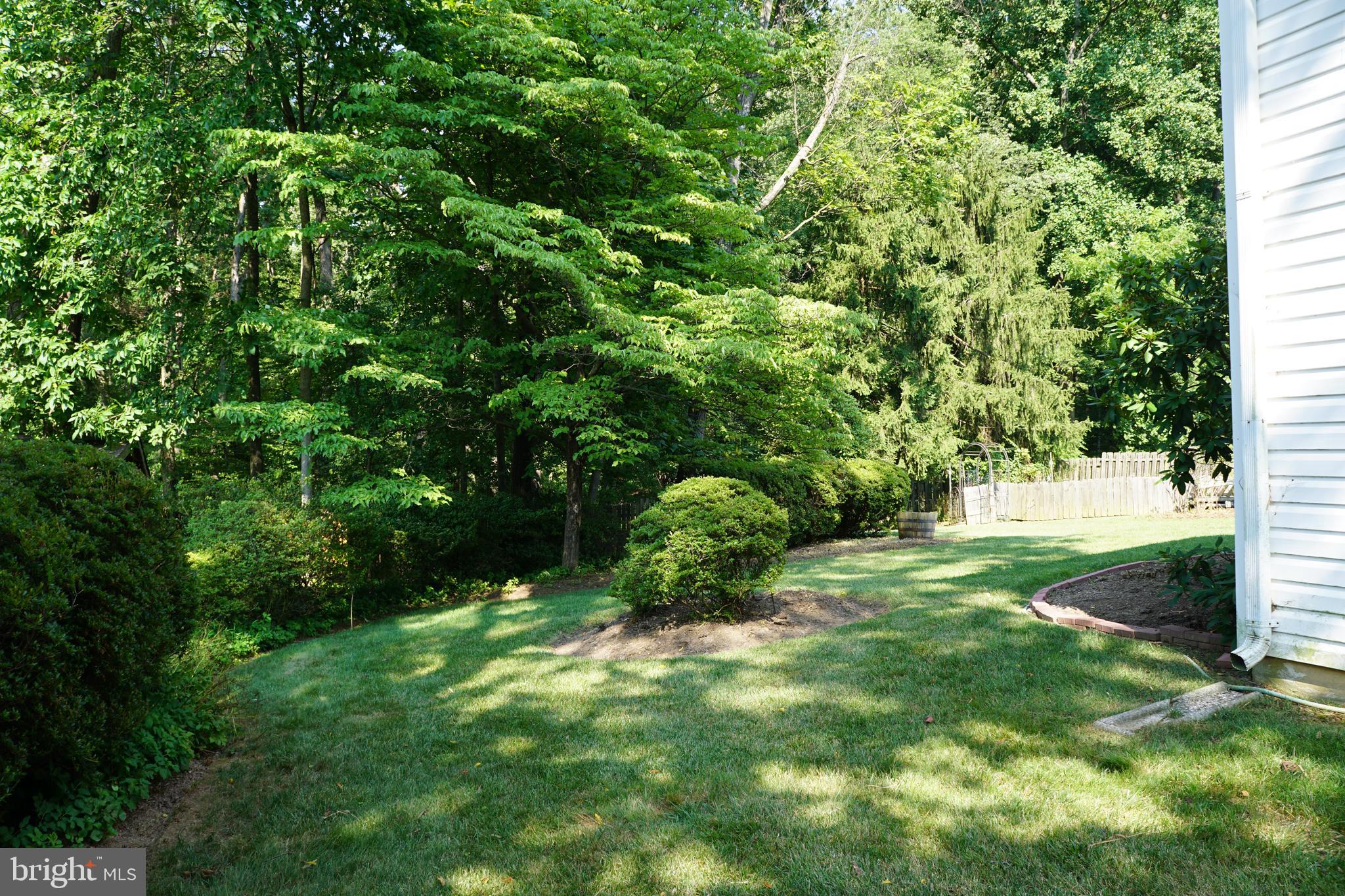 16617 Cashell Road Rockville, MD 20853 - Photo 24 of 28 Rear Yard