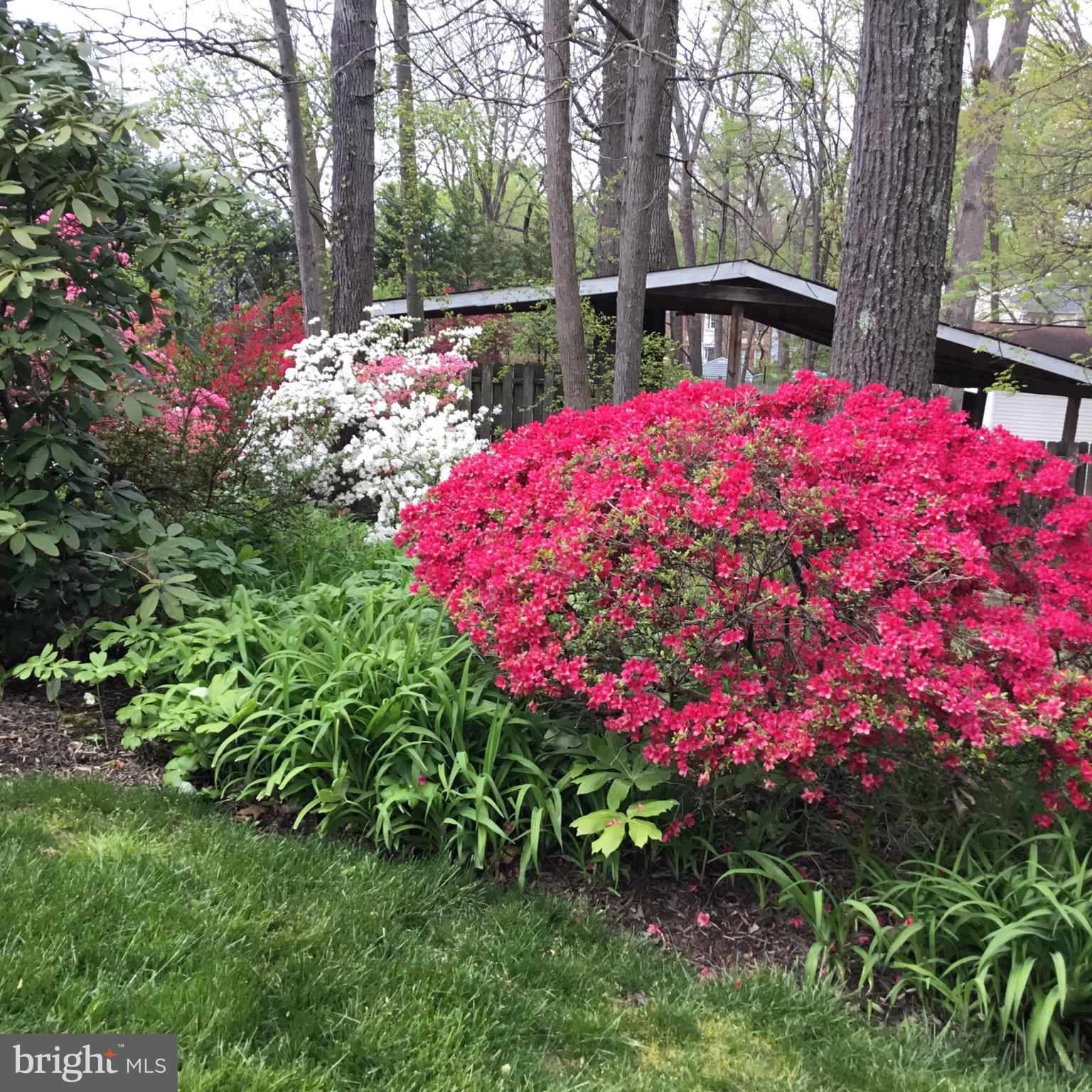 16617 Cashell Road Rockville, MD 20853 - Photo 26 of 28