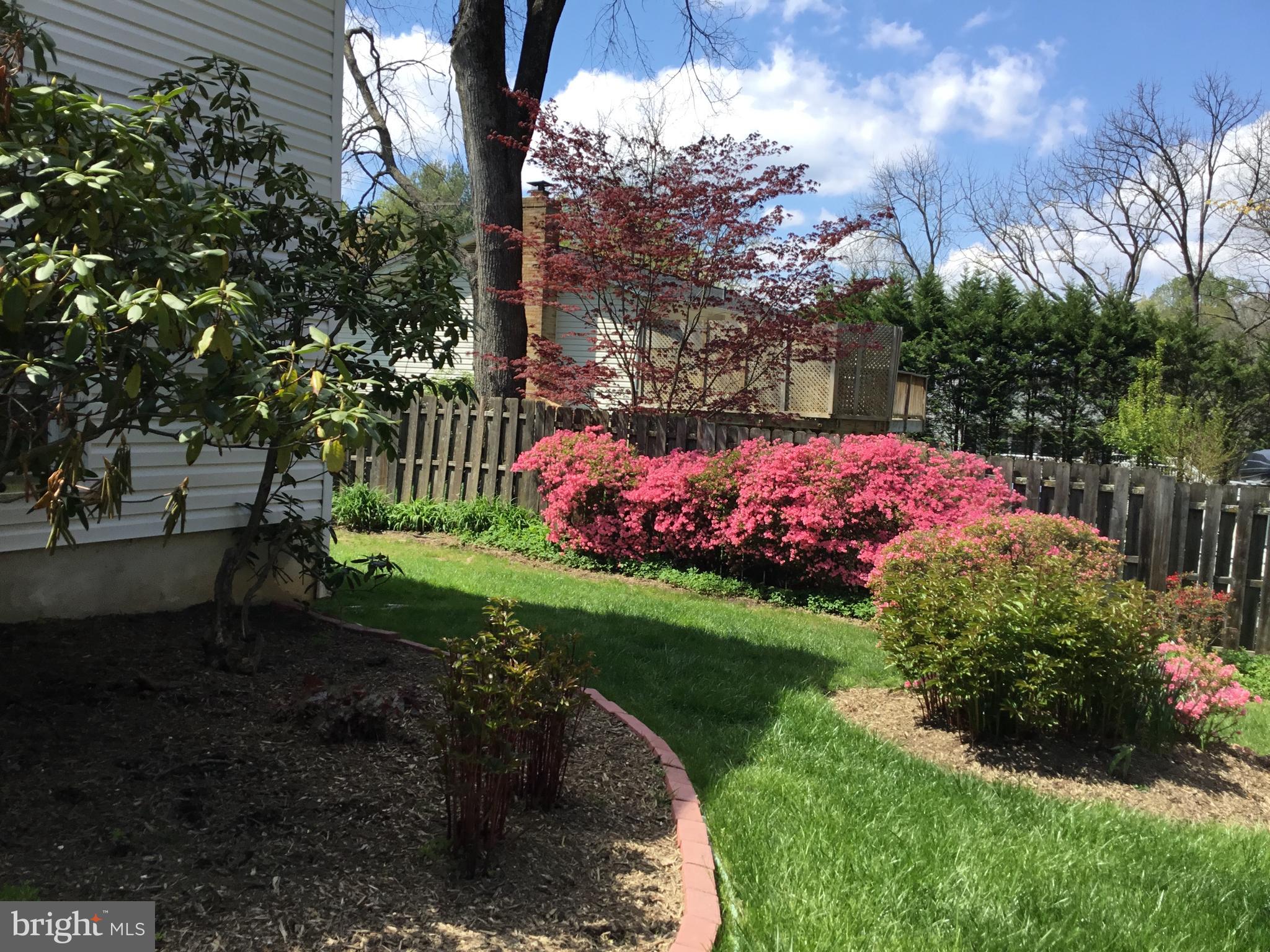 16617 Cashell Road Rockville, MD 20853 - Photo 27 of 28