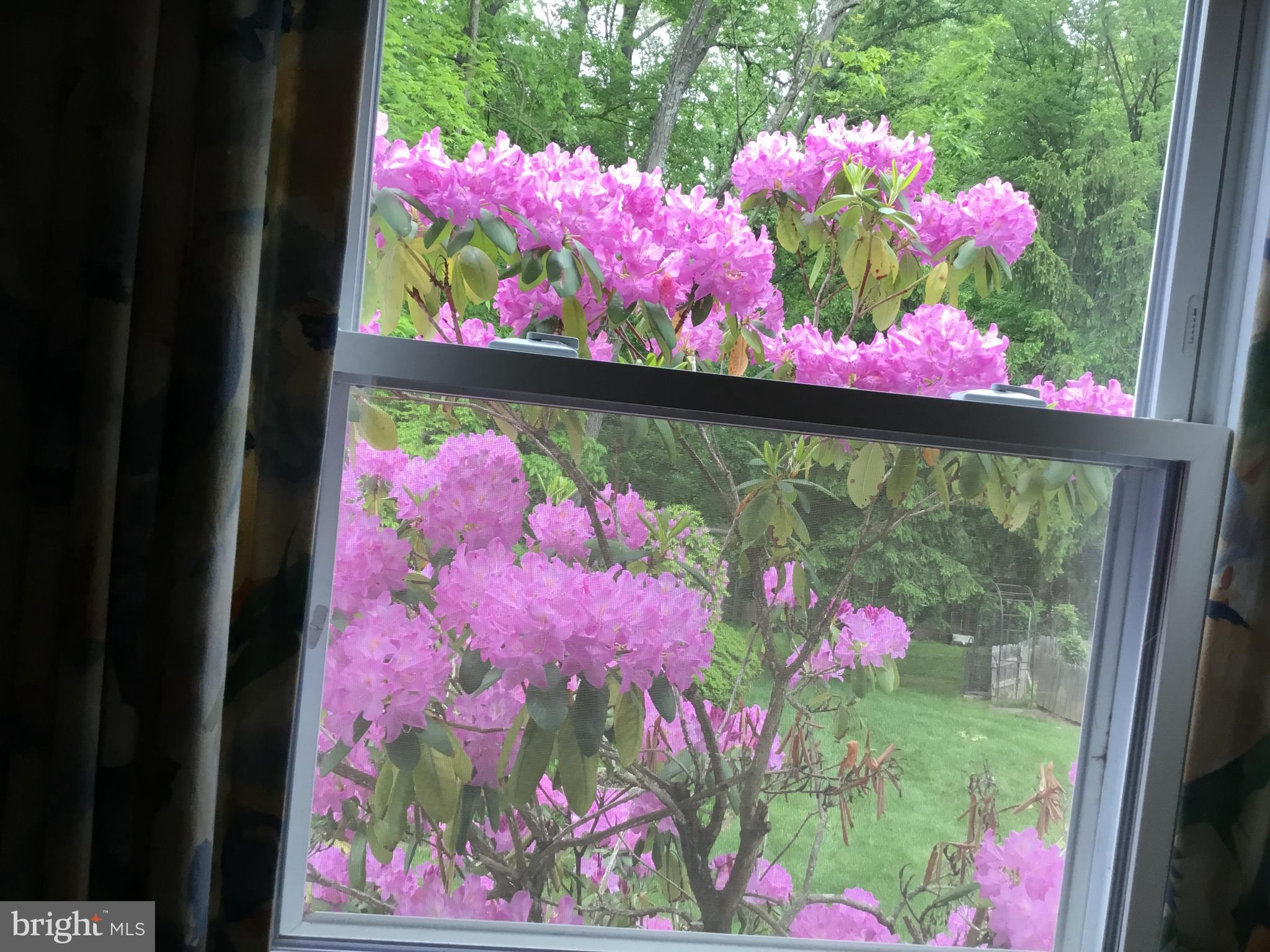 16617 Cashell Road Rockville, MD 20853 - Photo 10 of 28 View from Master Bedroom window