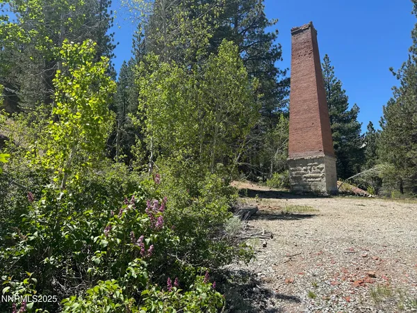 a view of a garden with a house