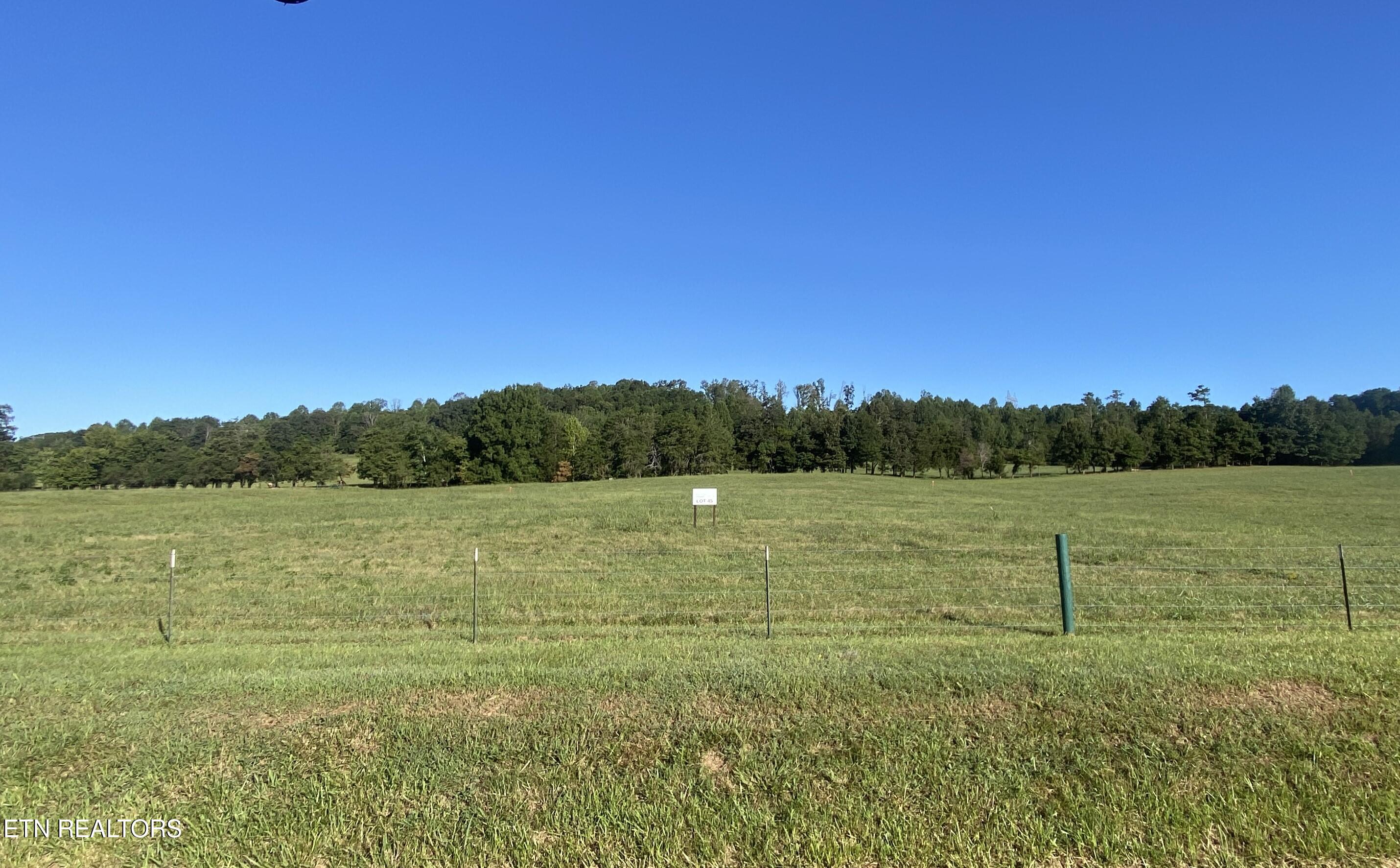 Lot 45 Paint Rock Valley Road Philadelphia, TN 37846 - Photo 18 of 23 IMG_9667