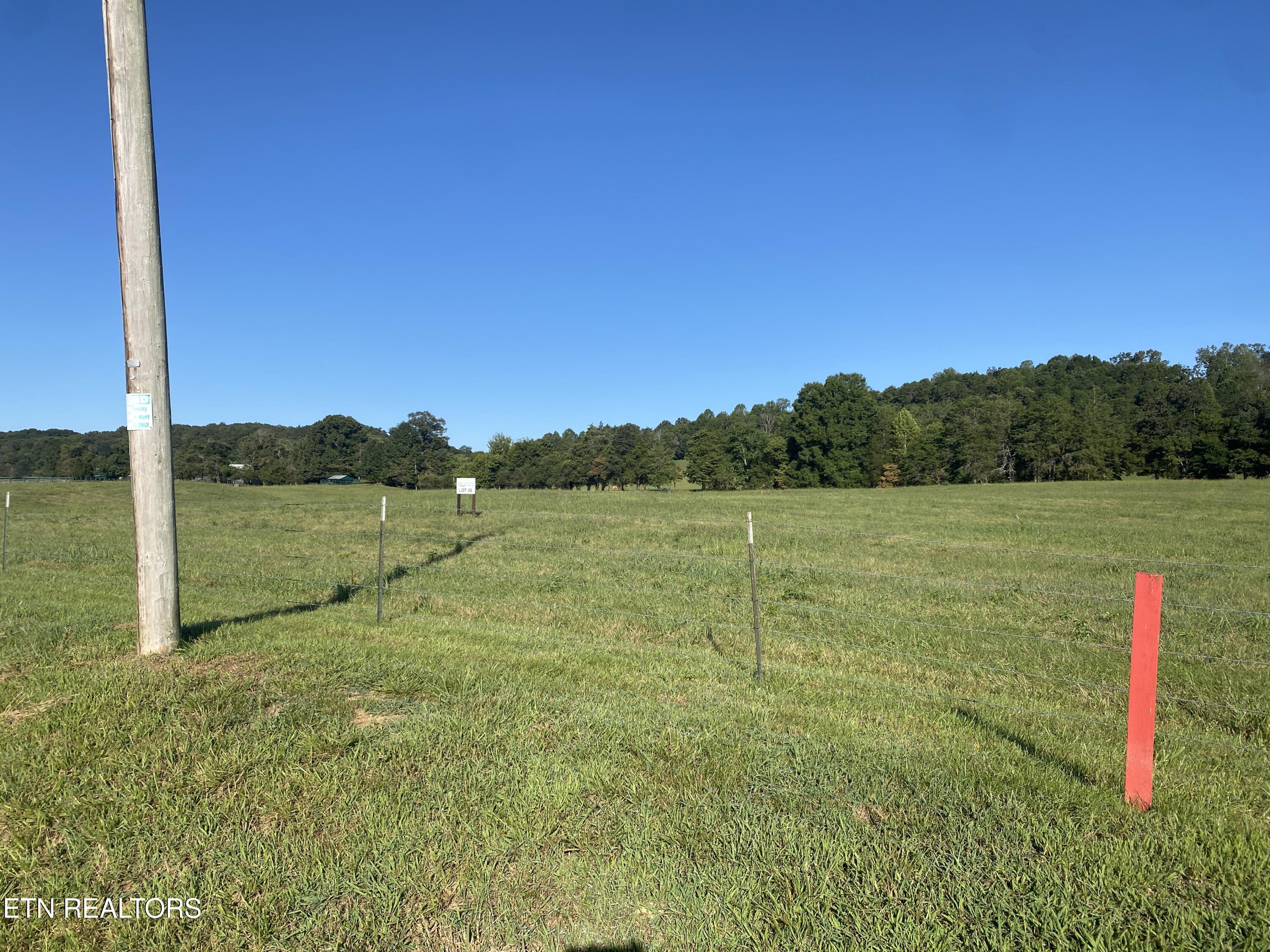 Lot 45 Paint Rock Valley Road Philadelphia, TN 37846 - Photo 22 of 23 IMG_9672