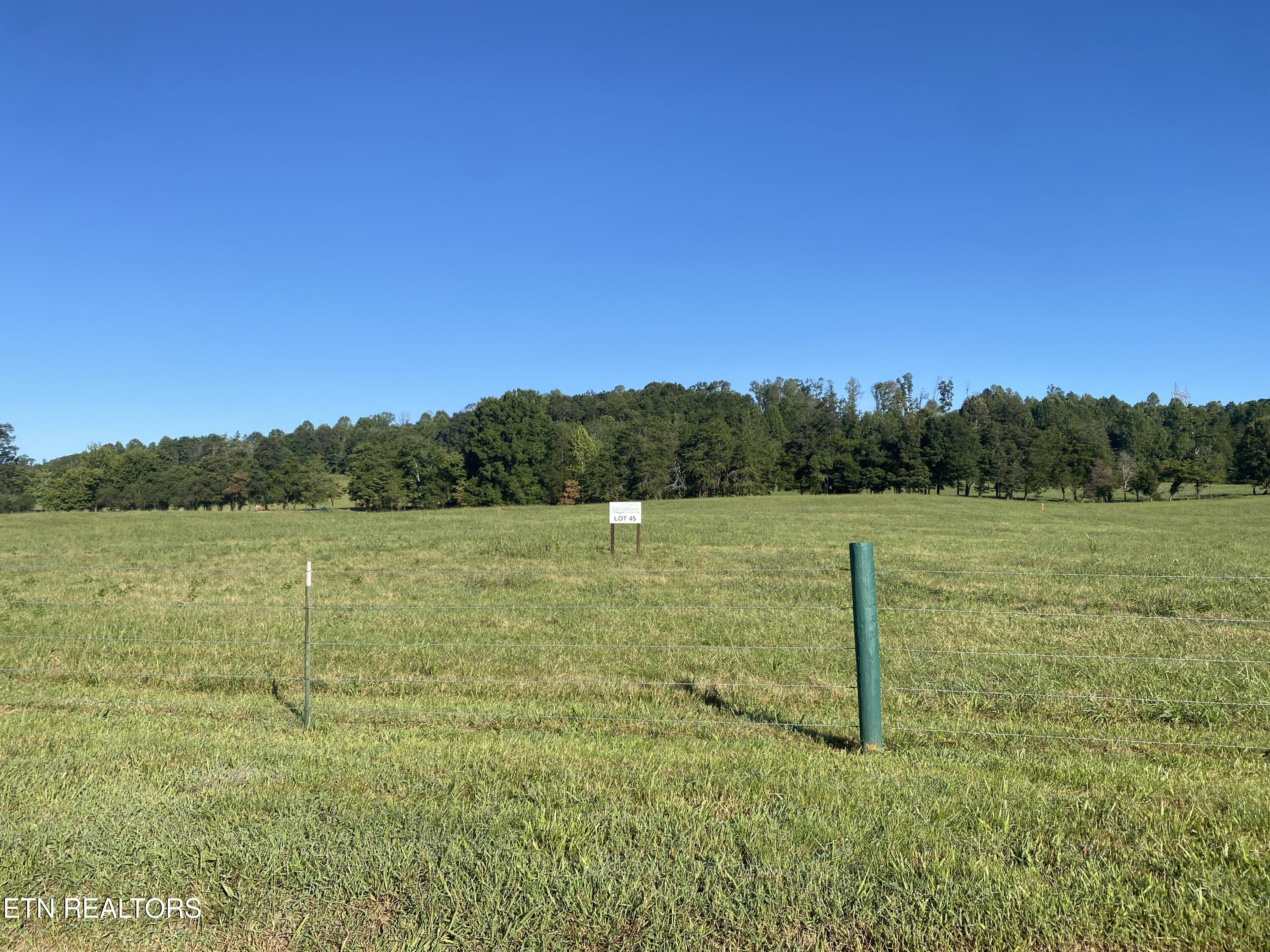Lot 45 Paint Rock Valley Road Philadelphia, TN 37846 - Photo 3 of 23 IMG_9671
