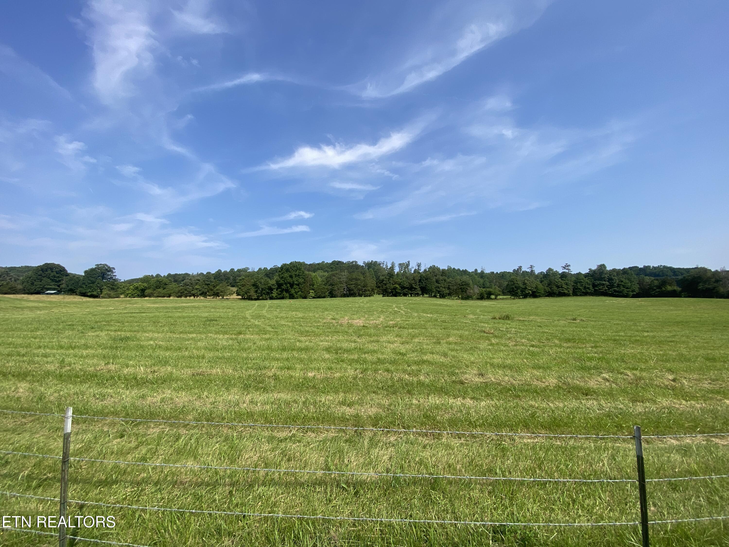 Lot 45 Paint Rock Valley Road Philadelphia, TN 37846 - Photo 4 of 23 Lot 45 4
