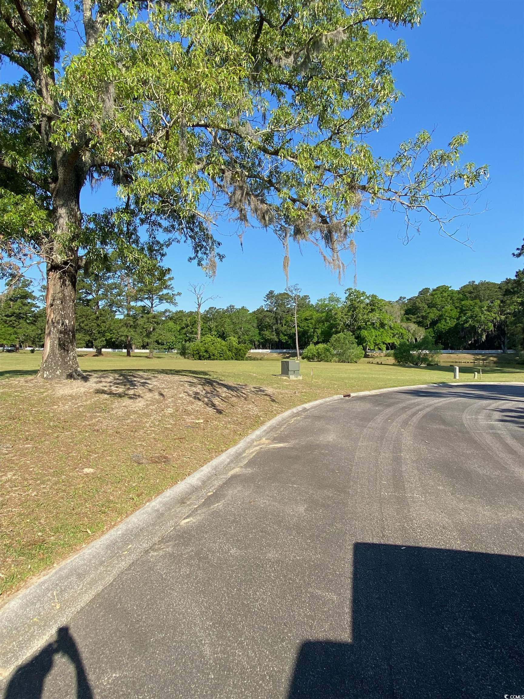 Lot 49 Rosebank Road Georgetown, SC 29440 - Photo 5 of 14