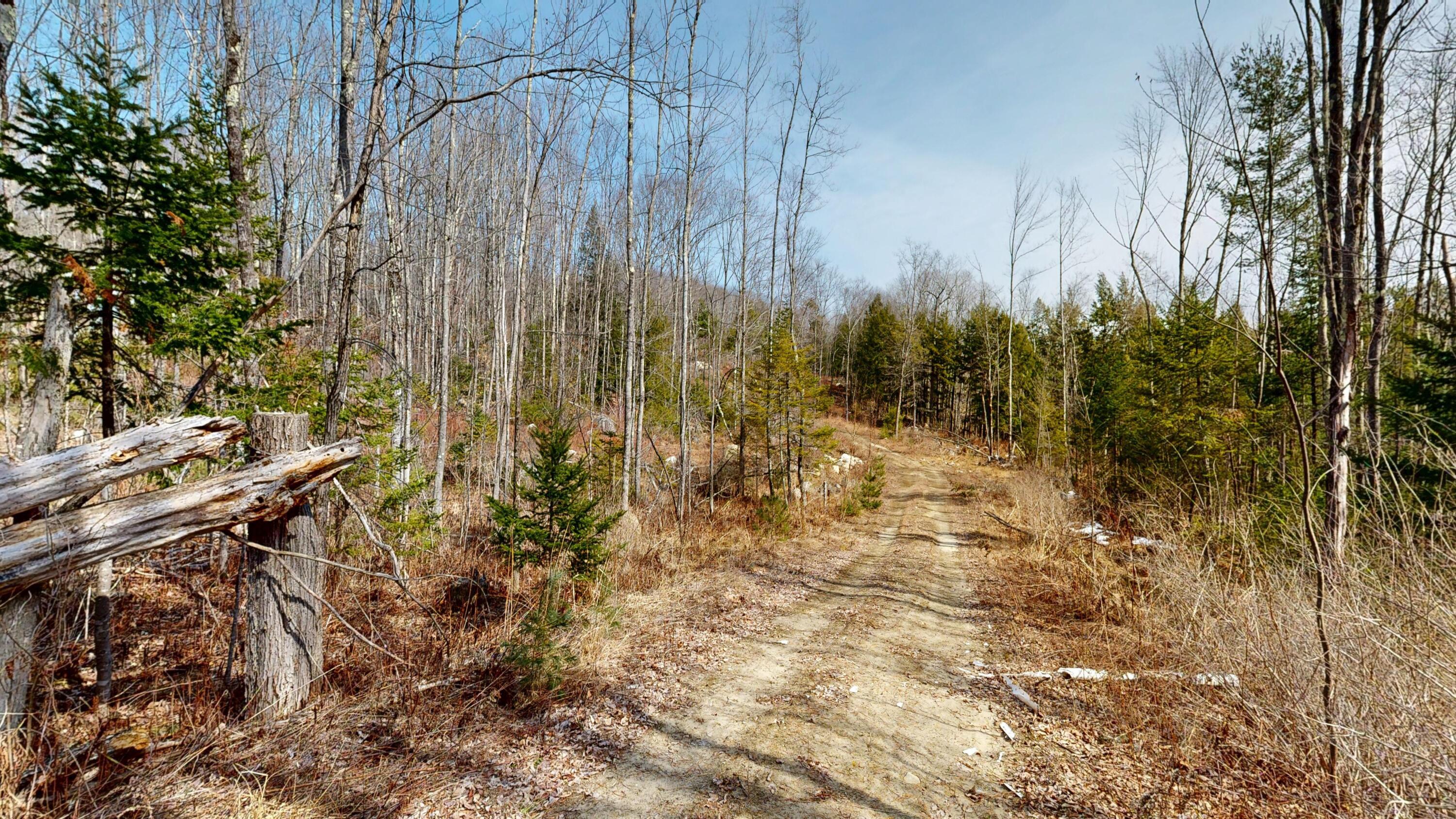 Lot 13 Wiley Road Greene, ME 04236 - Photo 3 of 9 Wiley-Road-Land-03312026_101852