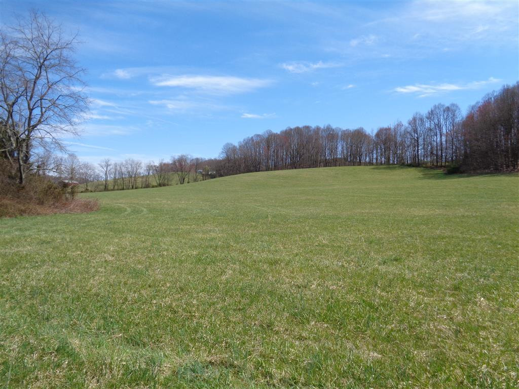 Tba Reedy Creek Road Bristol, VA 24202 - Photo 13 of 21 Photo 13