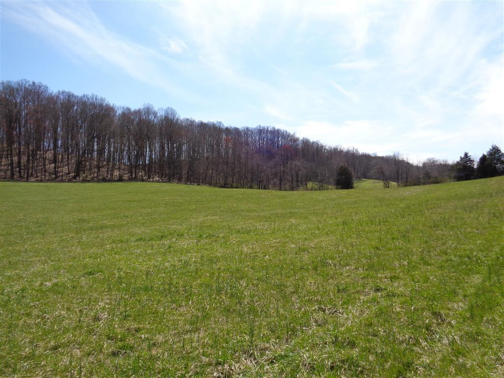 Tba Reedy Creek Road Bristol, VA 24202 - Photo 14 of 21 Photo 14