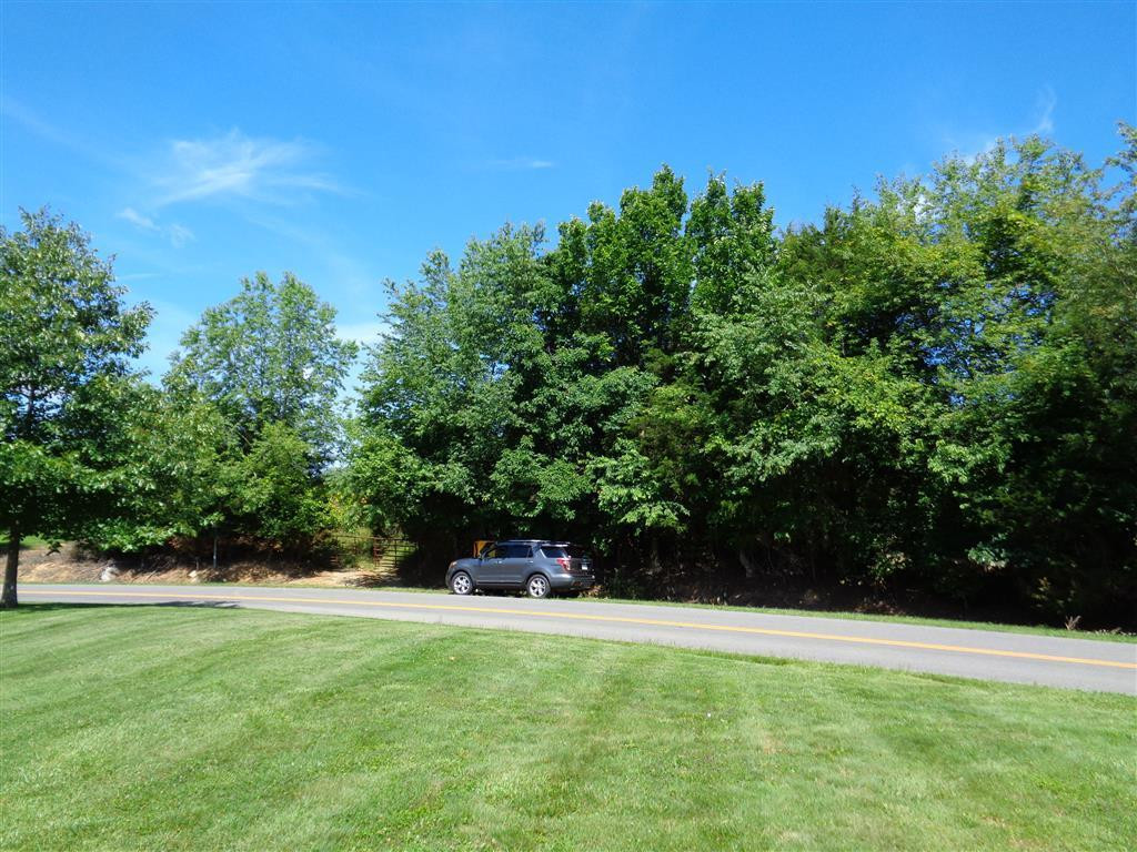 Tba Reedy Creek Road Bristol, VA 24202 - Photo 15 of 21 Rocky Hill Rd Entrance