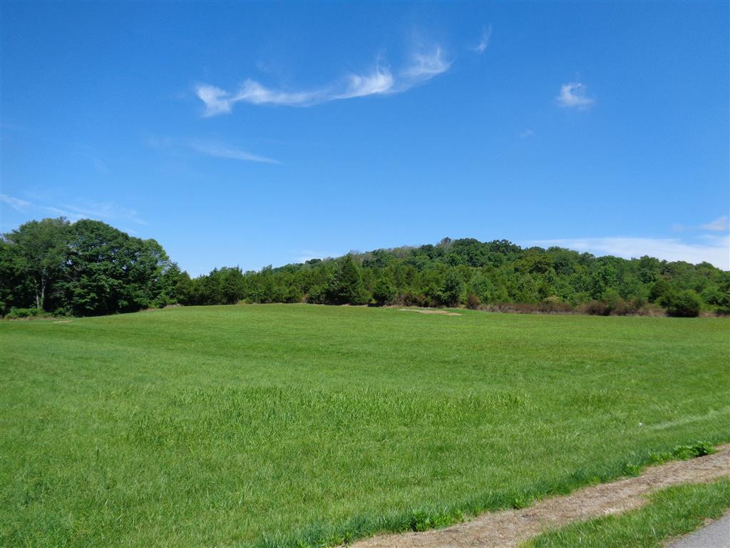 Tba Reedy Creek Road Bristol, VA 24202 - Photo 16 of 21 Property seen from distance