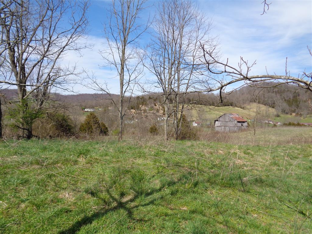 Tba Reedy Creek Road Bristol, VA 24202 - Photo 18 of 21 Photo 18