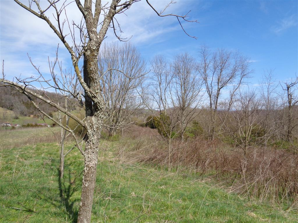 Tba Reedy Creek Road Bristol, VA 24202 - Photo 19 of 21 Photo 19