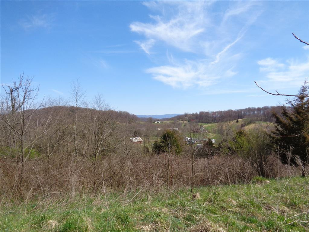 Tba Reedy Creek Road Bristol, VA 24202 - Photo 20 of 21 Holston Mtn seen in distance