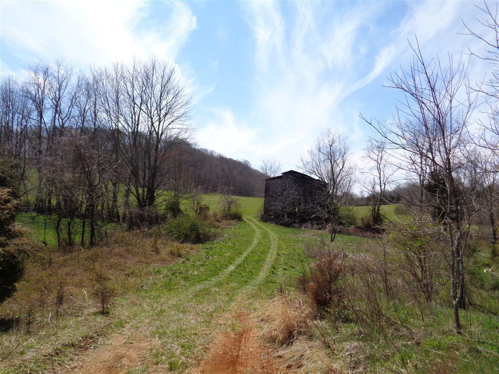 Tba Reedy Creek Road Bristol, VA 24202 - Photo 5 of 21 The Back Pastures